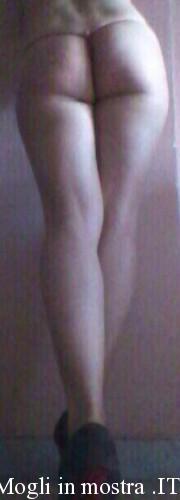 11121291_940144809349475_439361702_n